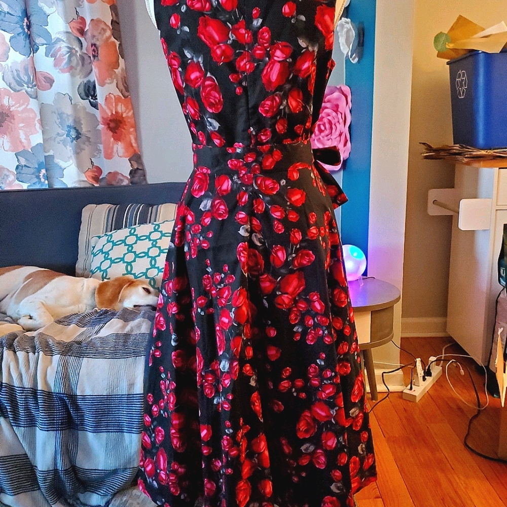💖Host Pick💖 Vintage inspired fit and flare dress - Picture 4 of 4